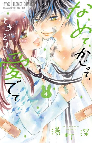 なめて、かじって、ときどき愛でて (4) (フラワーコミックス)