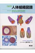 di Fiore 人体組織図譜