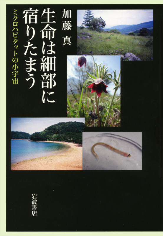 生命は細部に宿りたまう ミクロハビタットの小宇宙