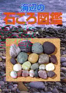 海辺の石ころ図鑑