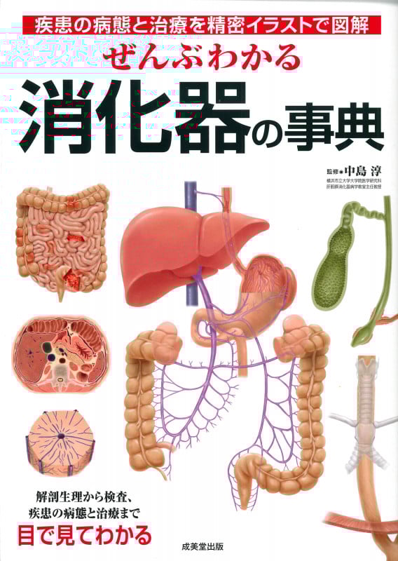 ぜんぶわかる消化器の事典 疾患の病態と治療を精密イラストで図解