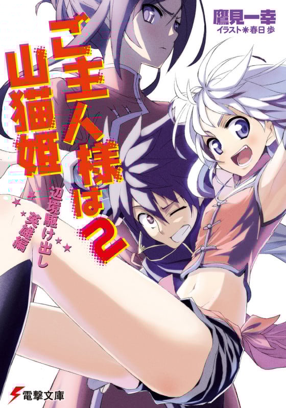ご主人様は山猫姫 (2) (電撃文庫)
