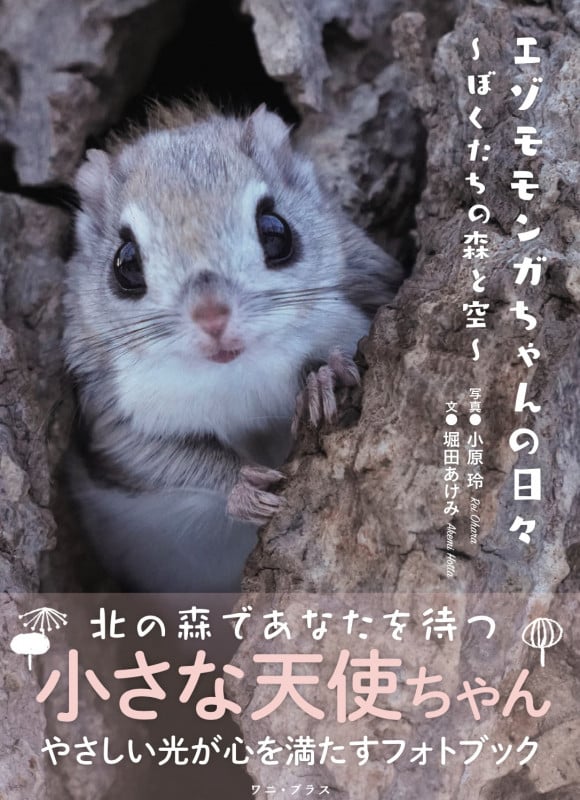 エゾモモンガちゃんの日々 ぼくたちの森と空