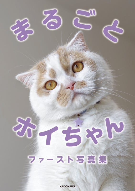 「ねこ休み展」スピンオフ公認! まるごとホイちゃん ファースト写真集の詳細を見る