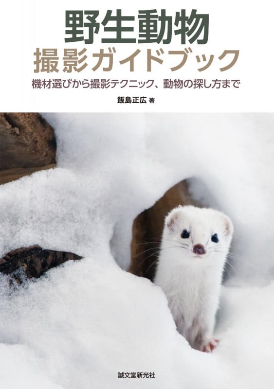 書籍 ぼくは密林でトラになった 飯島正広 書籍 ぼくは密林でトラになっ