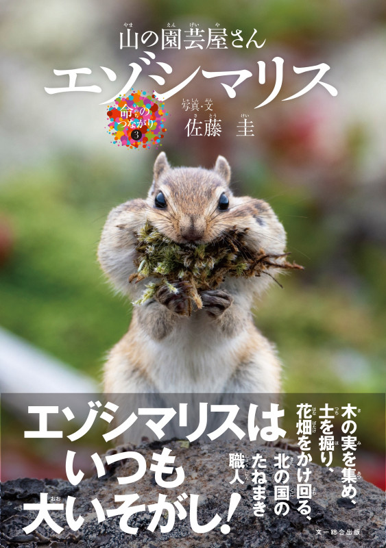 エゾシマリス 山の園芸屋さん (命のつながり 3)