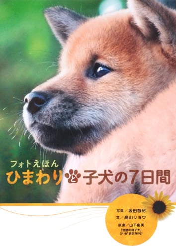 ひまわりと子犬の7日間 フォトえほん