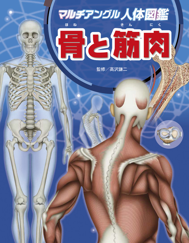 骨と筋肉 (マルチアングル人体図鑑)