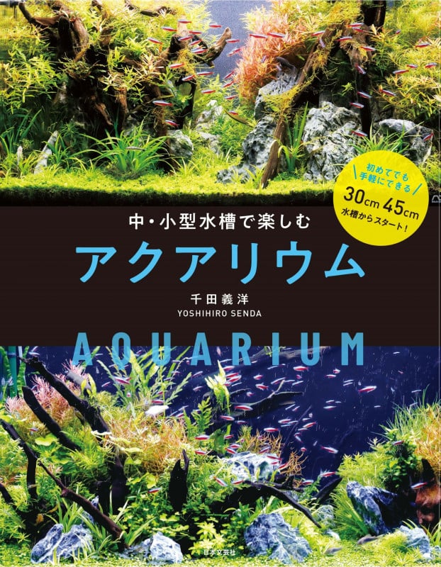 中・小型水槽で楽しむ アクアリウム 初めてでも手軽にできる 30cm45cm水槽からスタート!