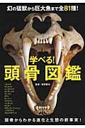 学べる!頭骨図鑑