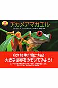 アカメアマガエル