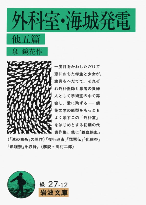 外科室・海城発電 他五篇 (岩波文庫)