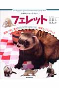 フェレット (小動物ビギナーズガイド)