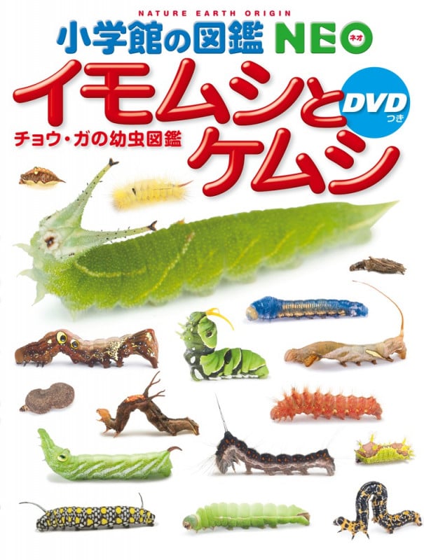 イモムシとケムシ チョウ・ガの幼虫図鑑 (小学館の図鑑NEO)