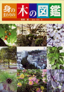 身のまわりの木の図鑑 (単行本)