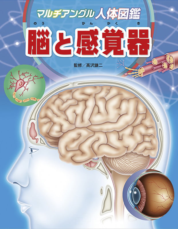 脳と感覚器 (マルチアングル人体図鑑)
