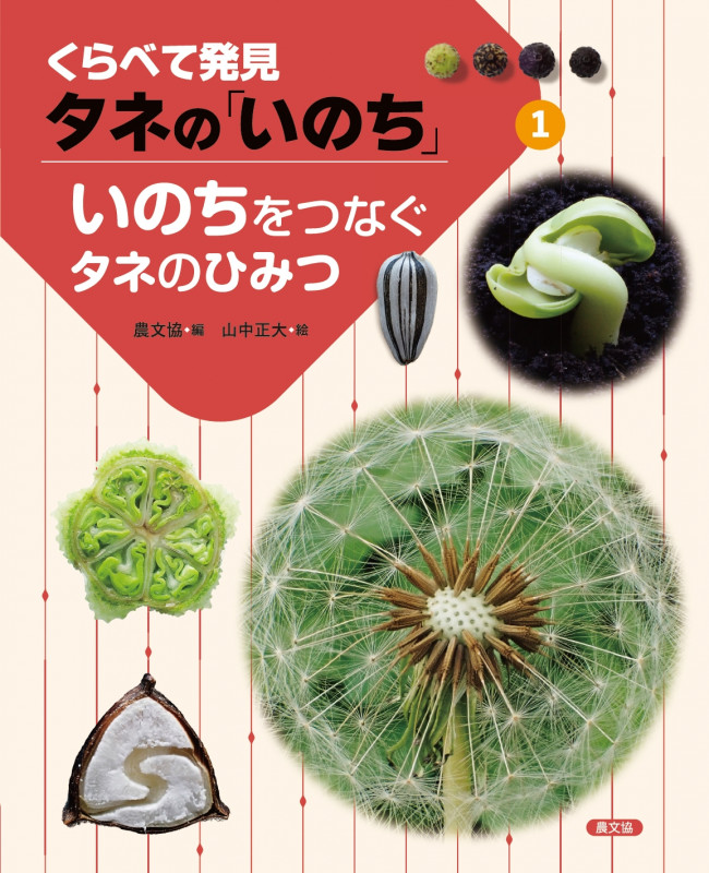 いのちをつなぐタネのひみつ (1) (くらべて発見 タネの「いのち」 1)の詳細を見る
