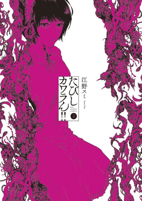 たびしカワラん!! (3) (裏少年サンデーC)