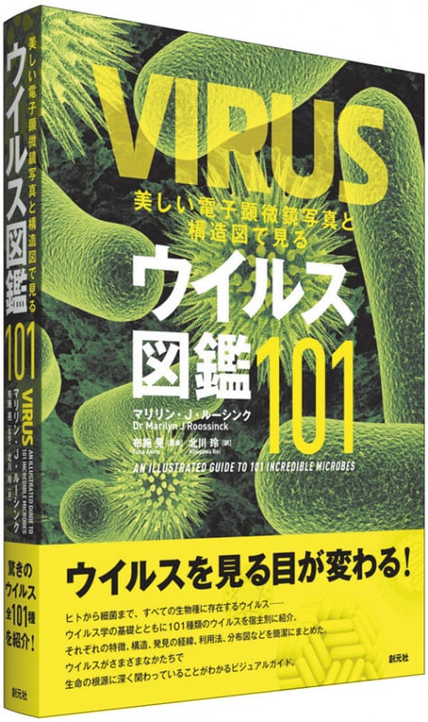 美しい電子顕微鏡写真と構造図で見る ウイルス図鑑101