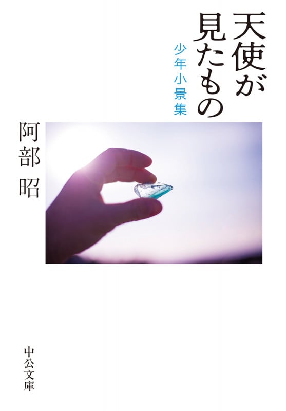 天使が見たもの 少年小景集 (中公文庫 あ20-3)