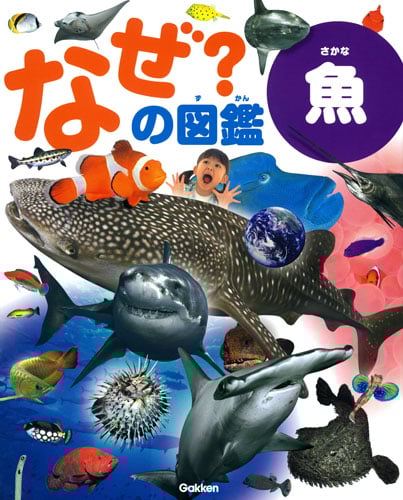 魚 (なぜ?の図鑑)