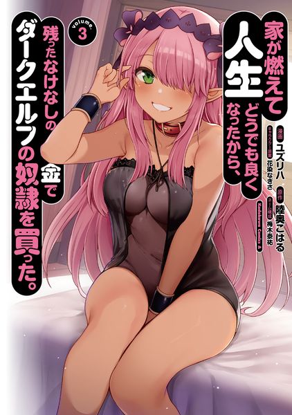 家が燃えて人生どうでも良くなったから、残ったなけなしの金でダークエルフの奴隷を買った。 (3) (角川コミックス・エース)