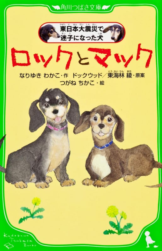 ロックとマック 東日本大震災で迷子になった犬 (角川つばさ文庫)