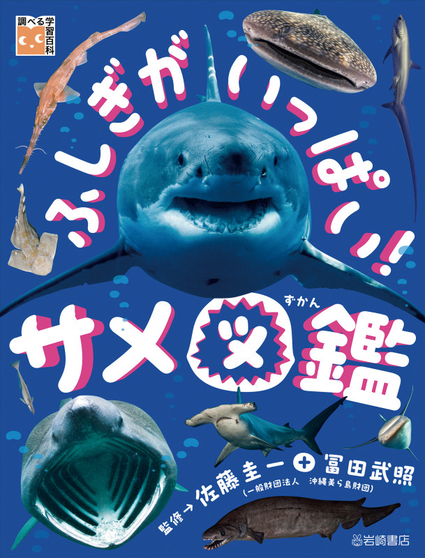 ふしぎがいっぱい!サメ図鑑 (調べる学習百科)