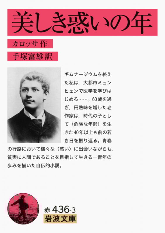 美しき惑いの年 (岩波文庫)