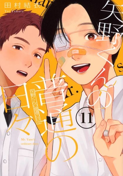 矢野くんの普通の日々(11) (モーニング KC)