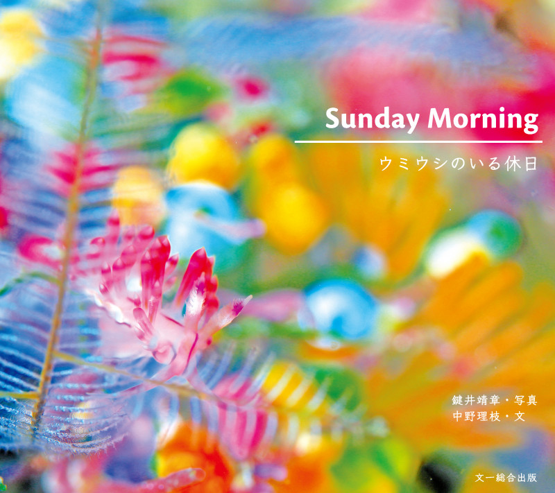 SUNDAY MORNING ウミウシのいる休日
