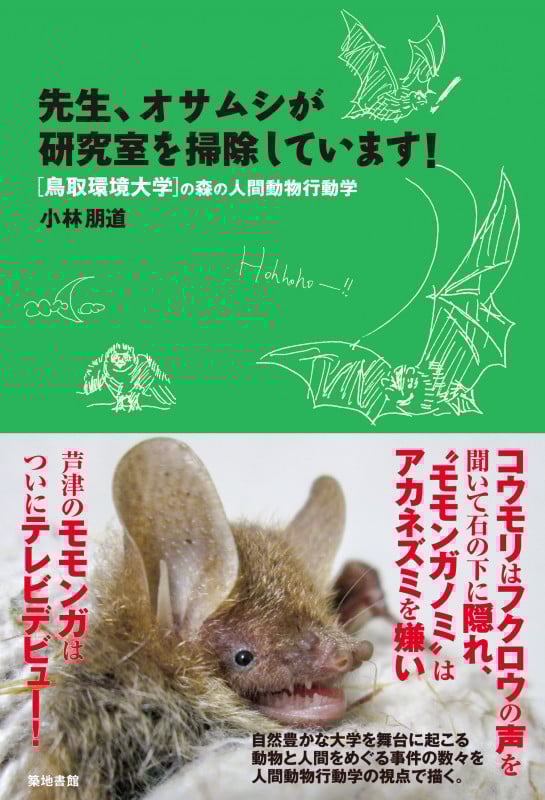 先生、オサムシが研究室を掃除しています! [鳥取環境大学]の森の人間動物行動学