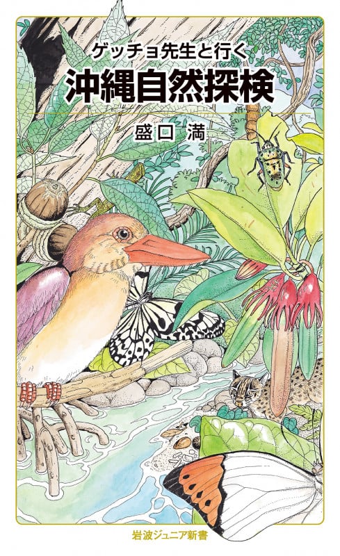 ゲッチョ先生と行く 沖縄自然探検 (岩波ジュニア新書 936)