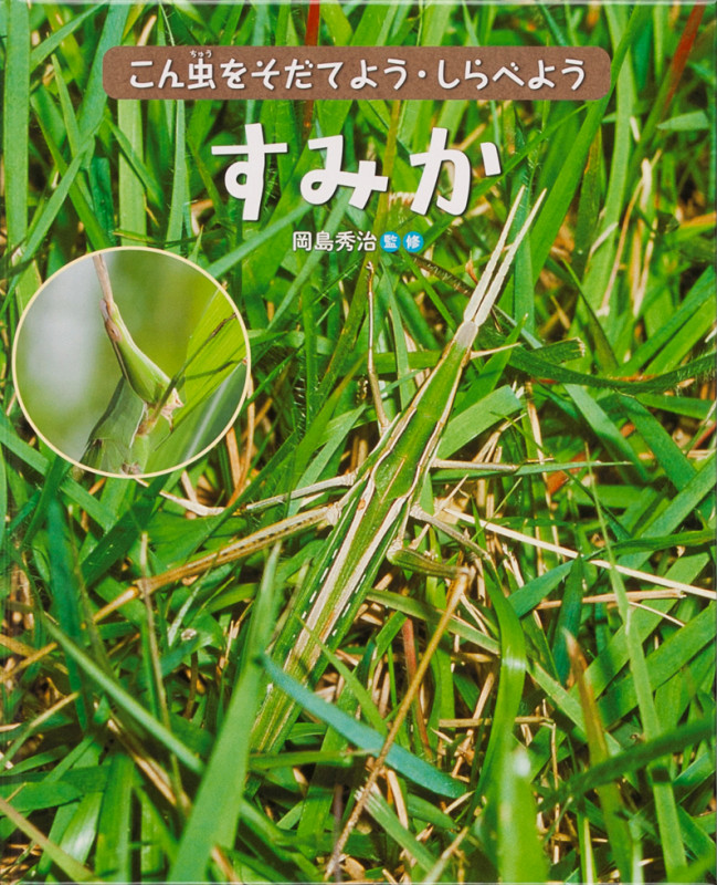 すみか こん虫をそだてよう・しらべよう