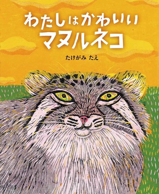 わたしはかわいいマヌルネコ