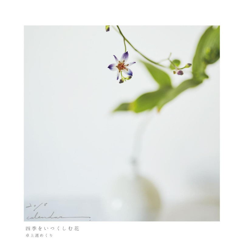 谷匡子 おすすめランキング (7作品) - ブクログ