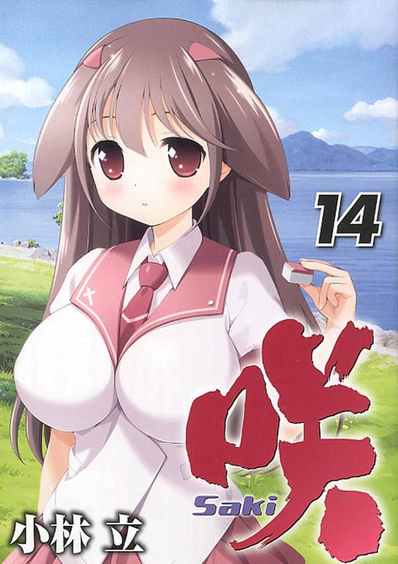 咲-Saki- (14) (ヤングガンガンC)