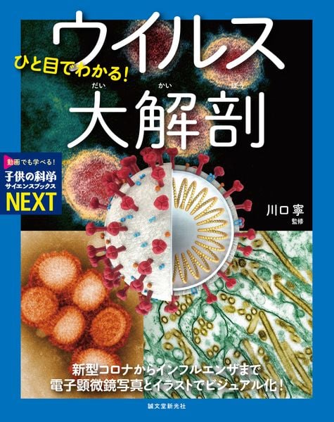 ひと目でわかる! ウイルス大解剖 新型コロナからインフルエンザまで 電子顕微鏡写真とイラストでビジュアル化! (子供の科学サイエンスブックスNEXT)の詳細を見る