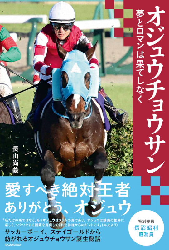 オジュウチョウサン 夢とロマンは果てしなくの詳細を見る