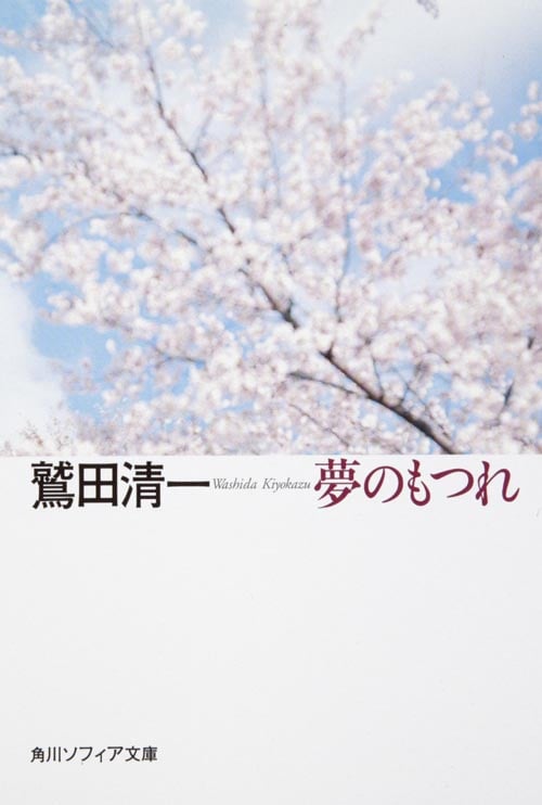 夢のもつれ (角川ソフィア文庫)の詳細を見る
