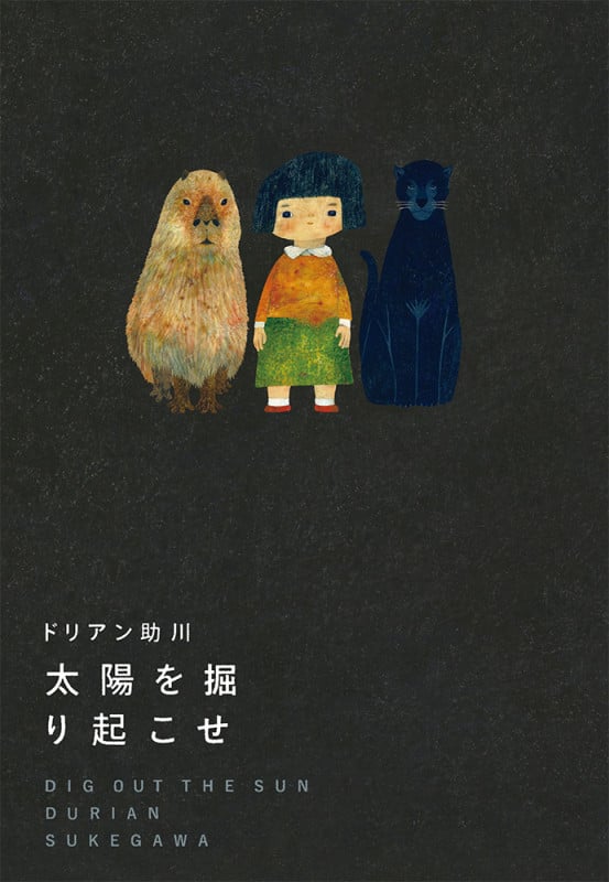 太陽を掘り起こせ (一般書 451)