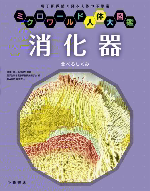 消化器 食べるしくみ (ミクロワールド人体大図鑑)