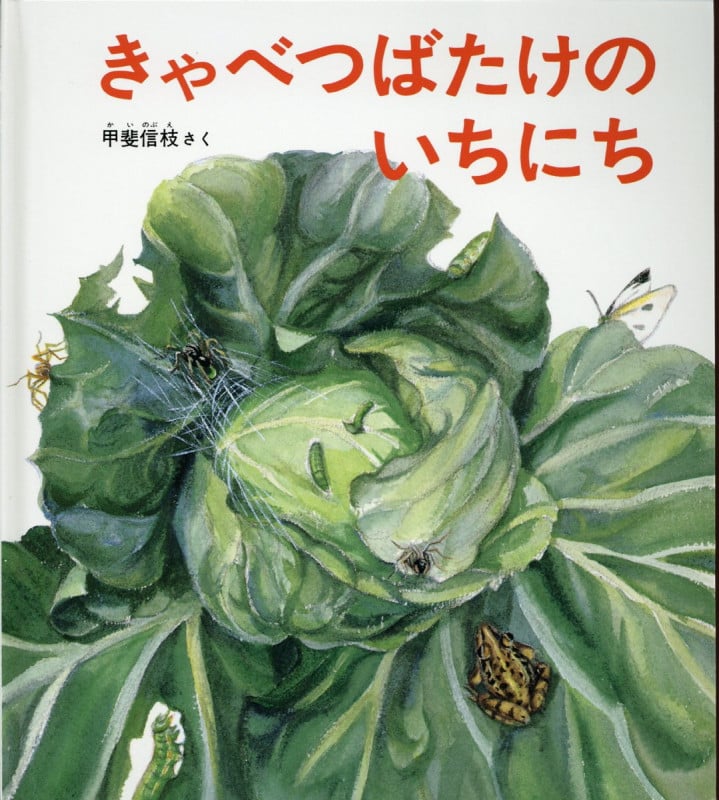 きゃべつばたけのいちにち