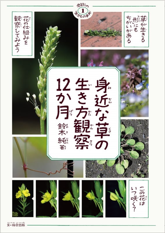 身近な草の生き方観察12か月 (季節の生きもの事典)