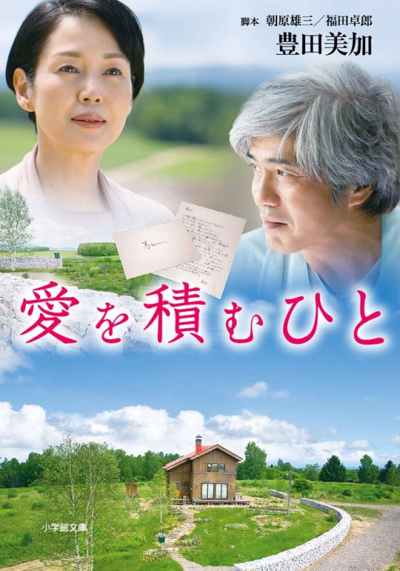 愛を積むひと (小学館文庫)