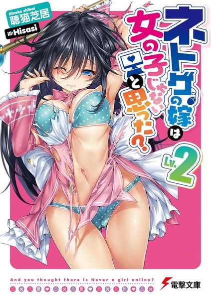 ネトゲの嫁は女の子じゃないと思った? Lv.2 (電撃文庫)