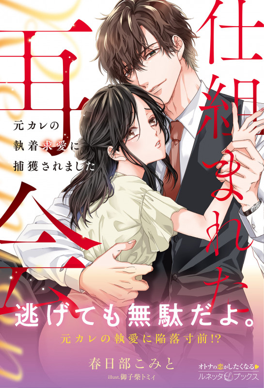 仕組まれた再会 ~元カレの執着求愛に捕獲されました~ (ルネッタブックス LBL92)