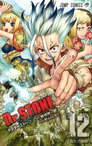 Dr.STONE (12) (ジャンプC)