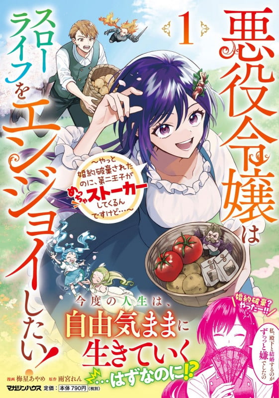 悪役令嬢はスローライフをエンジョイしたい!〜やっと婚約破棄されたのに、第二王子がめっちゃストーカーしてくるんですけど...〜 1