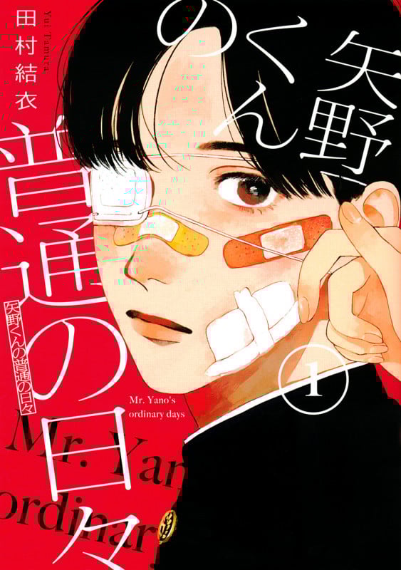 矢野くんの普通の日々(1) (モーニング KC)
